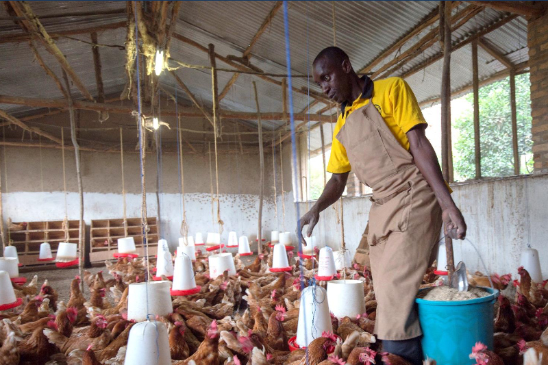 Promouvoir l’emploi des jeunes dans le secteur agricole en Afrique de l’Est
