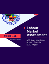 Évaluation du marché du travail avec un accent sur les travailleurs migrants de la région de l'IGAD
