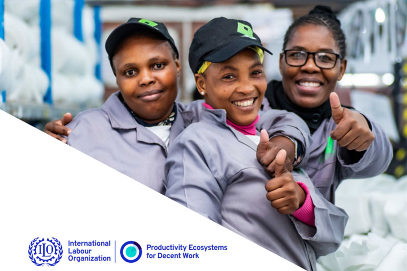 Productivity Ecosystems for Decent Work South Africa