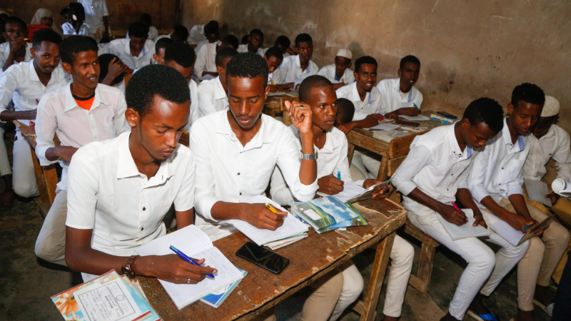 Reforming Education in Africa for Economic Development