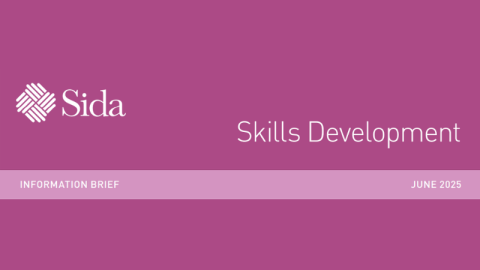 Skills Development