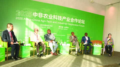 Kenya can leverage TVET skills as a strategic diplomatic asset