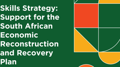 Stratégie en matière de compétences : soutien au plan de reconstruction et de relance économique de l'Afrique du Sud