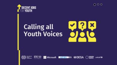 Capturing the Voices, Aspirations and Perceptions of Youth on Career Paths and Labour Market Outcomes