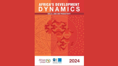 Africa's Development Dynamics 2024